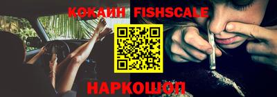 амф Камышлов