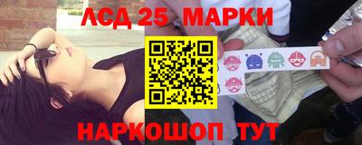 амф Кандалакша