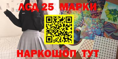 амф Кандалакша