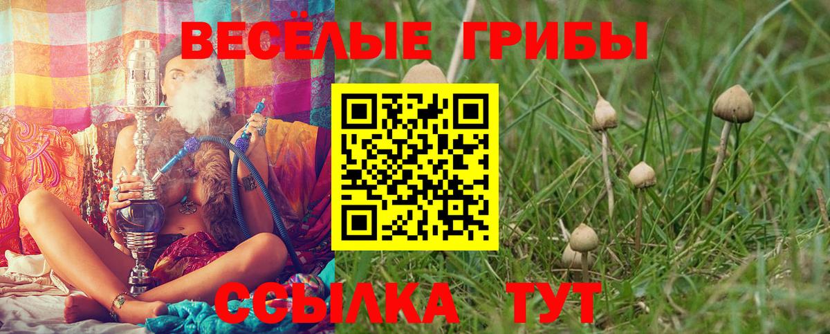 Псилоцибиновые грибы Magic Shrooms  Вход с VPN  Псилоцибиновые грибы Cubensis  Майкоп 